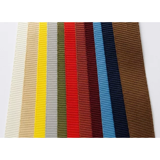 Flat Polyester Webbing 25 mm 1 200 daN | FAR 25.853
